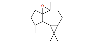 Ledene oxide